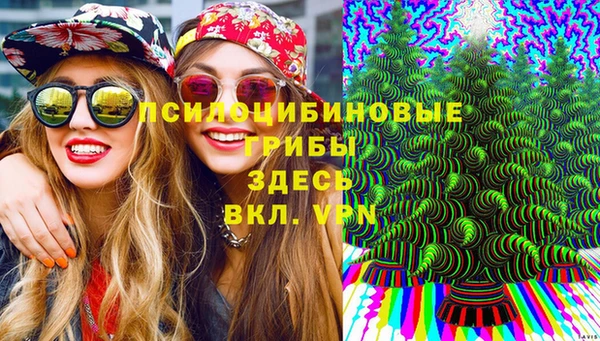 мескалин Анжеро-Судженск