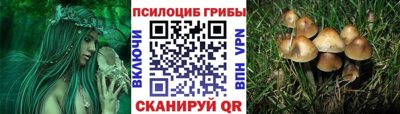 Галлюциногенные грибы мицелий  Бокситогорск 