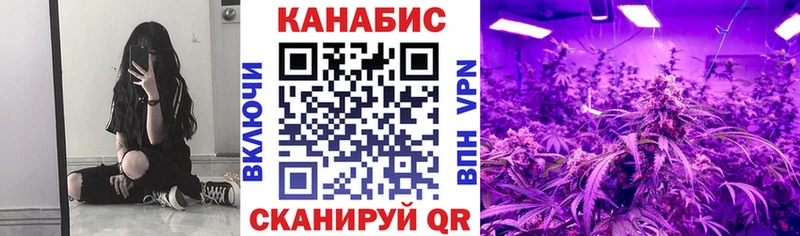 Конопля VHQ  продажа наркотиков  Бокситогорск 